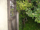 The Birds' Paradise