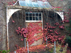 Ornamental Porch