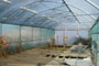 Professional steel framed Galvanised Greenhouse