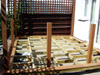 Hardwood Balau Decking