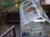 Aluminium Greenhouse