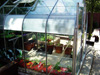 Aluminium Greenhouse