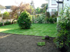 Lawn Turfing