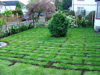 Lawn Turfing