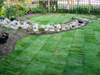 Lawn Turfing