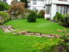 Lawn Turfing