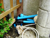 Automatic Watering Sistem